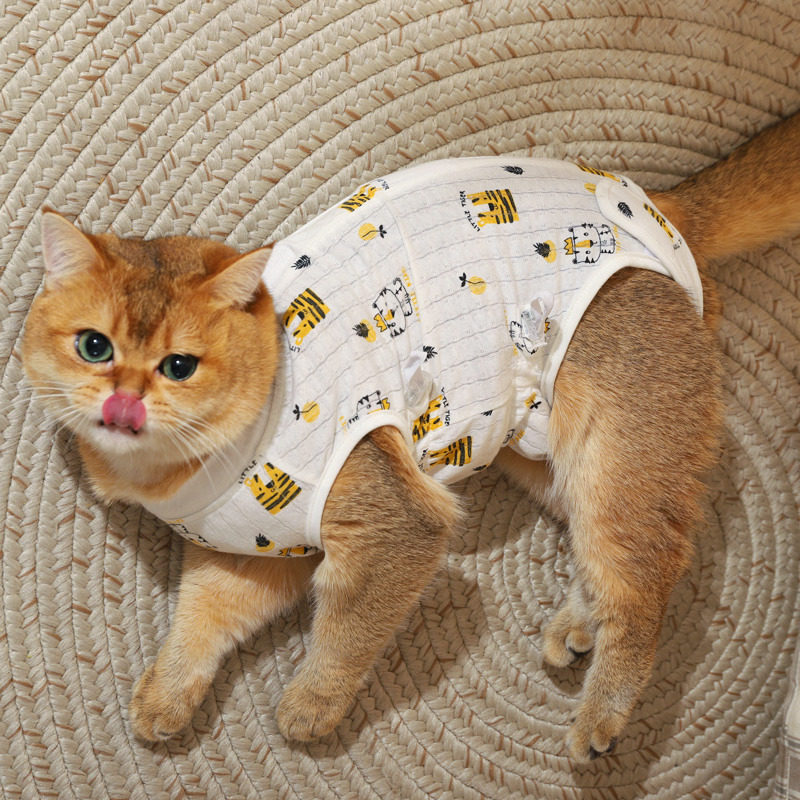 猫咪绝育服母猫手术后衣服宠物猫猫术后防舔公猫断奶小猫节育用品