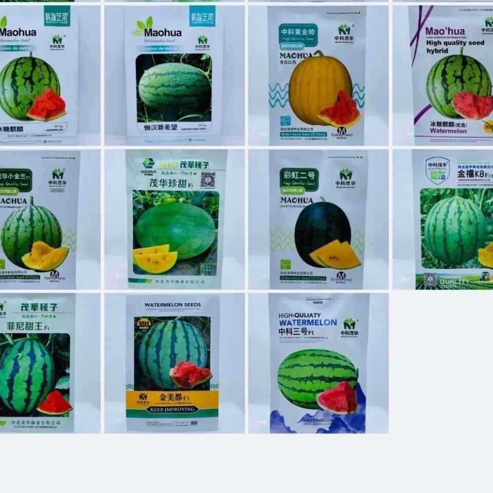 4k冰糖种子麒麟西瓜大全全美美都懒汉彩虹石头甜王8424黑霸王金福