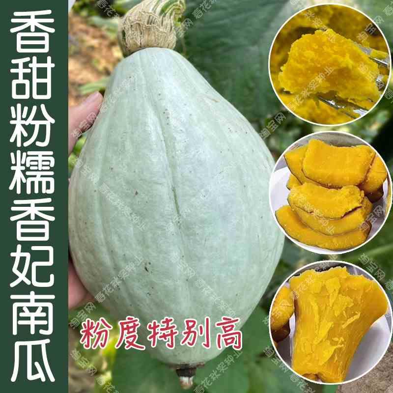 香甜粉糯香妃南瓜种蔬菜子播 四季春夏秋籽 干面板栗香易种好吃孑