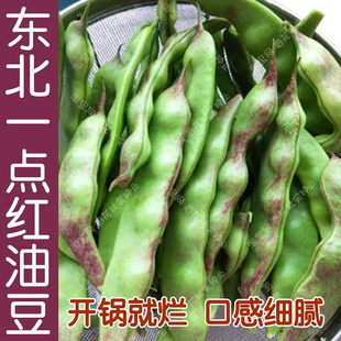 红将军油豆种子 软面豆角菜豆大田抗病高产豇豆孑 播蔬菜籽 春秋季