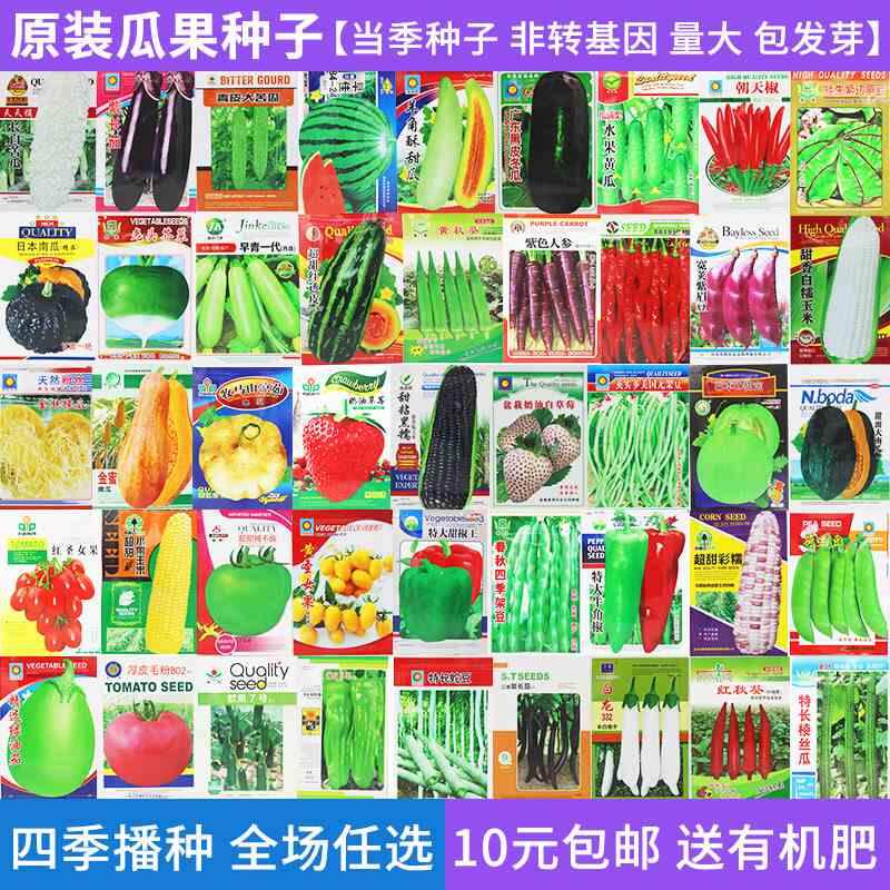 四季瓜果种子蔬菜播种黄瓜秋葵番茄辣椒草莓胡萝卜南瓜丝瓜种籽孑