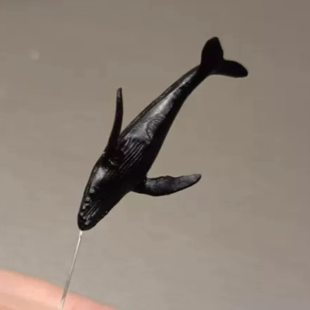 抹香鲸蓝迷你动物模型3D立体微景观物配件鲸鱼座头鲸海鲜手作鲨鱼