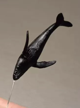 抹香鲸蓝迷你动物模型3D立体微景观物配件鲸鱼座头鲸海鲜手作鲨鱼