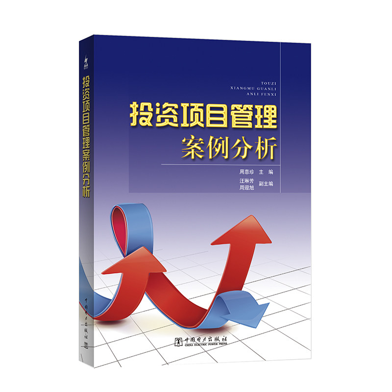 【按需印刷图书】投资项目管理案例分析