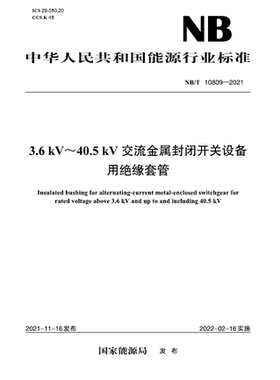 【按需印刷】NB／T 10809—2021  交流金属封闭开关设备用绝缘套管