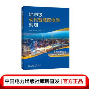 地市级现代智慧配电网规划