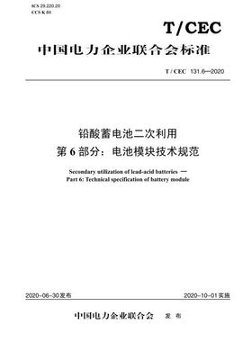 【按需印刷】T/CEC 131.6—2020 铅酸蓄电池二次利用 第6部分：电池模块技术规范