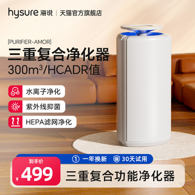 海说水离子负离子净化器
