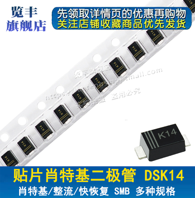 贴片肖特基二极管DSK14 1N5819 SOD-123FL 丝印K14 1206 (100个)