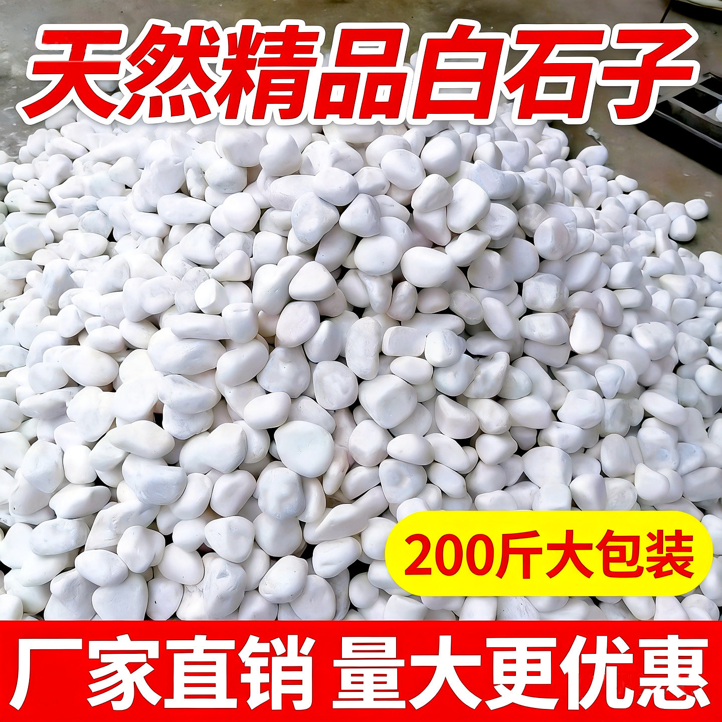 200斤天然白色石头庭院铺路铺地鹅卵石花园阳台盆栽造景白石子