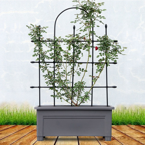 组装爬藤花屏花架包塑月季铁线莲爬藤架黄瓜豆角支架牵牛花攀爬架