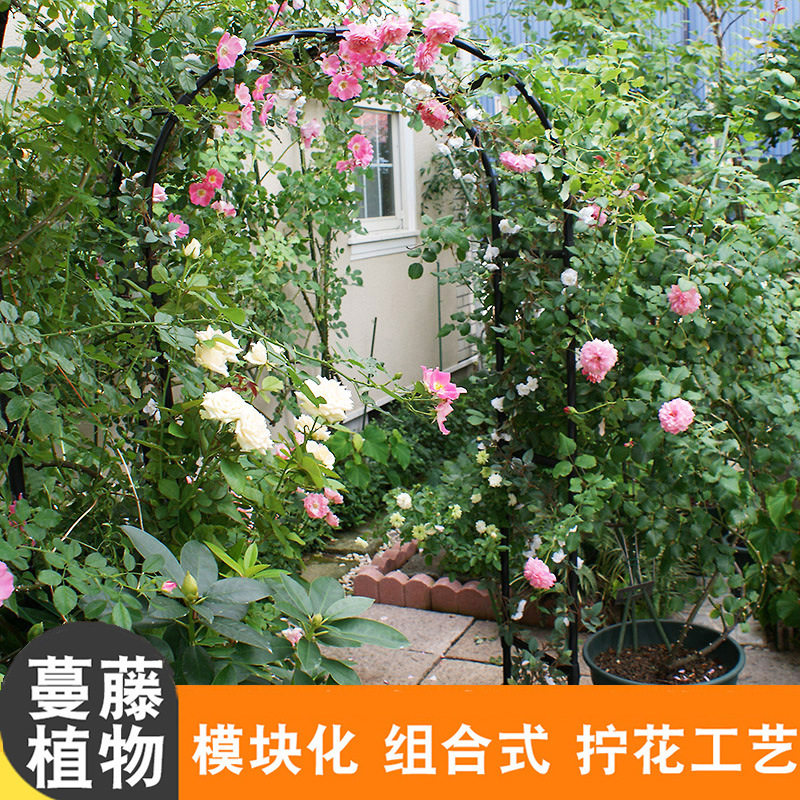 园艺爬藤支架 藤蔓拱门花架欧月铁线莲爬藤架庭院走廊别墅造景