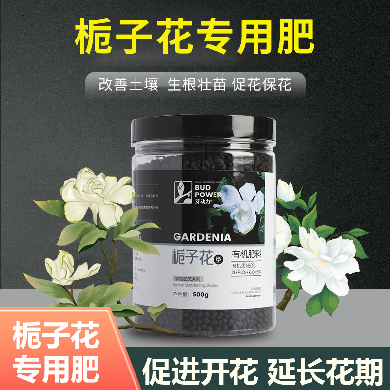芽动力栀子花爆花生长专用营养肥