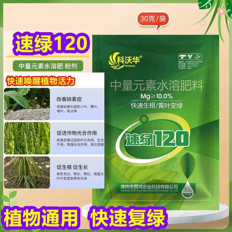速绿120叶绿素科沃华提苗生根壮棵增绿增厚中量元素水溶叶面肥料