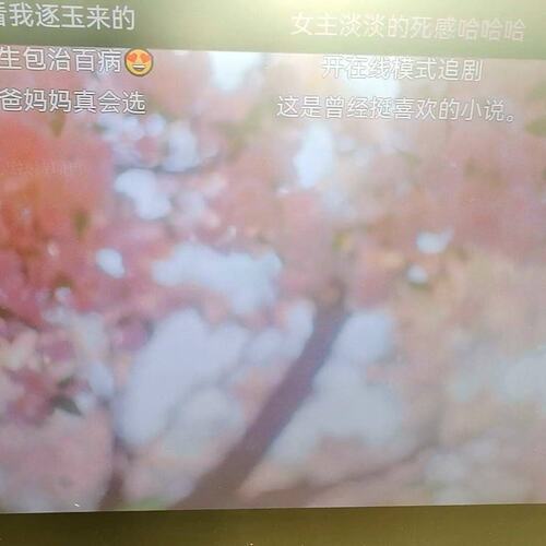 议价鸿合HiteVision一体机