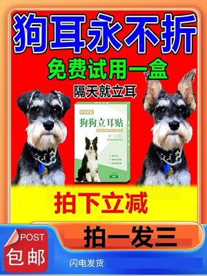 狗狗立耳神器立耳贴黑狼犬雪纳瑞杜宾犬柯基德牧幼犬狗竖耳辅助器