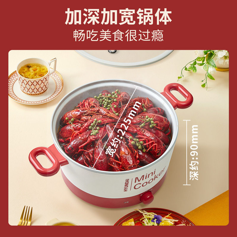 3L电煮锅一体锅多功能小