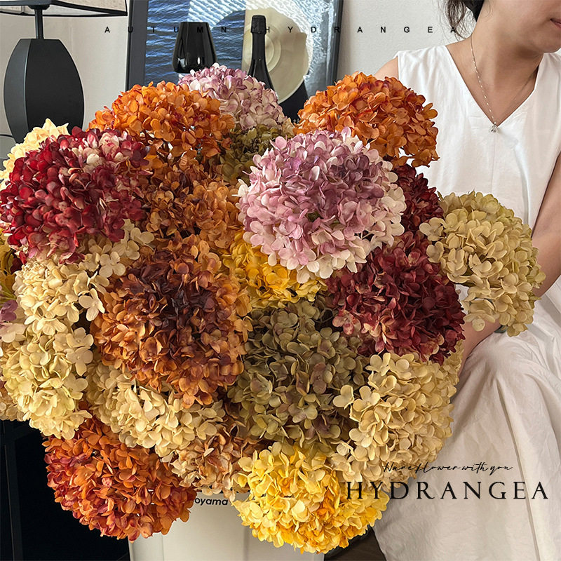 仿真干枯色烤边绣球花复