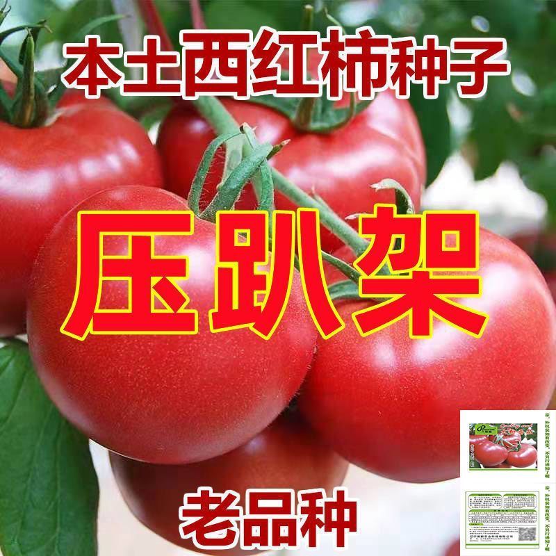 高产大番茄种子超甜粉果西红柿大果特大号高温蔬菜瓜果蔬菜种子-封面