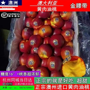 正宗澳洲油桃黄肉油桃原箱礼盒新鲜金腰带黄金桃当季桃子顺丰