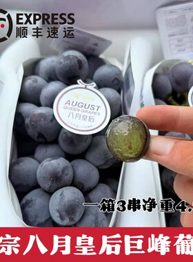 毅萃鲜•八月皇后 巨峰葡萄4.5斤3串原箱礼盒装鲜甜多汁当季新鲜