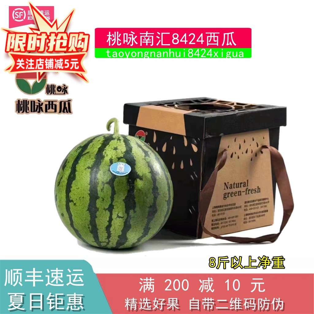 正宗上海南汇桃咏8424西瓜8斤黑籽脆甜新鲜水果非麒麟瓜当季现摘