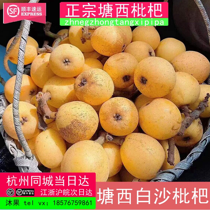 正宗塘栖枇杷塘栖白沙枇杷超鲜甜3斤装新鲜水果杭州发现货