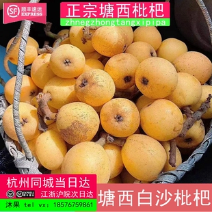 正宗塘栖枇杷塘栖白沙枇杷超鲜甜3斤装新鲜水果杭州发现货