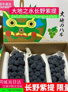 大地之水长野紫猫眼葡萄纯正品种葡萄整箱3串左右礼顺丰包邮