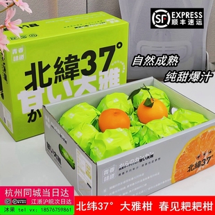 北纬37度大雅柑白富美春见日本静冈品种耙耙柑四川眉山当季新鲜水