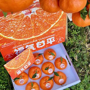 顺丰正宗白富美福气甘平柑橘7斤礼盒装新鲜采摘水果香甜皮薄汁