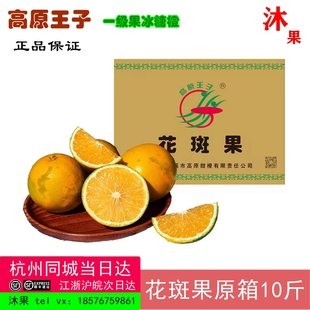 高原王子橙花斑果褚橙十斤装5kg新鲜水果橙子云南玉溪冰糖橙