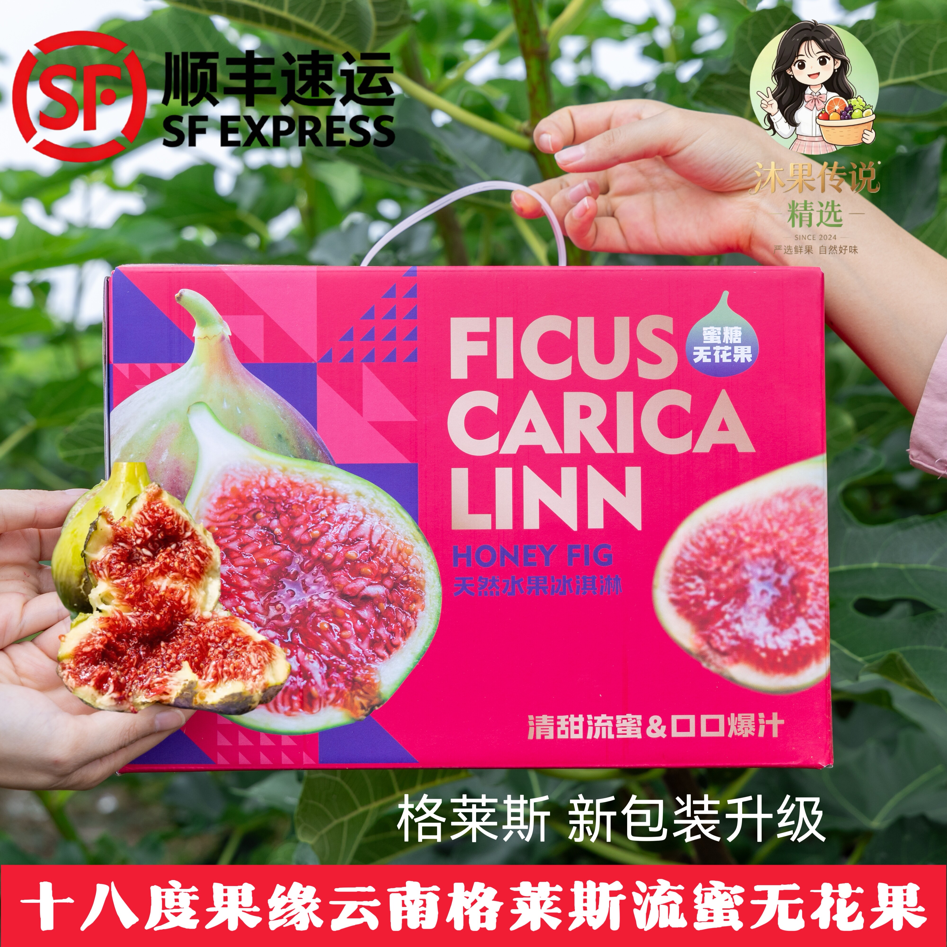 18°果缘无花果格莱斯糖包子云南无花果十八度花香蜜新鲜采摘顺丰图片