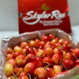Rae黄车厘子整箱4斤大果脆甜 斯凯拉雷天空之城Skylar 现货