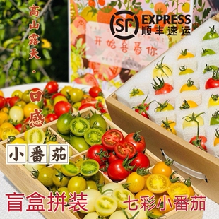 顺丰 盲盒多彩番茄礼盒装小番茄西红柿圣女果千禧小柿子水果新鲜