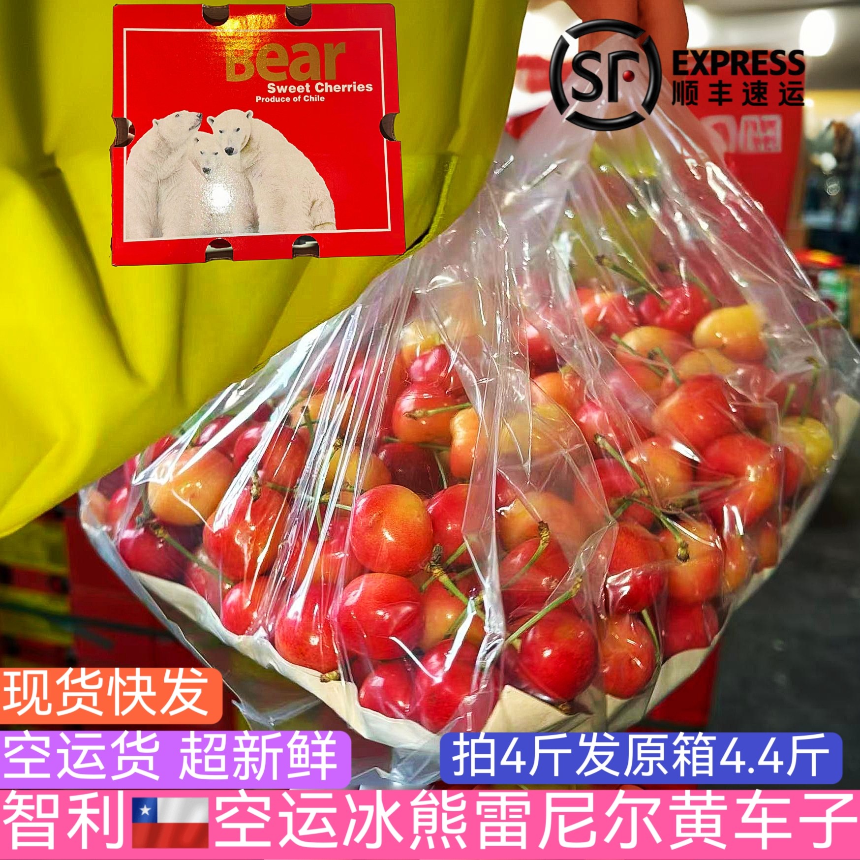 【现货价拍】【空运】冰熊智利进口雷尼尔黄金车厘子新鲜大樱桃,水产肉类/新鲜蔬果/熟食,车厘子/樱桃,淘宝优惠券,粉丝福利购,淘宝优惠卷
