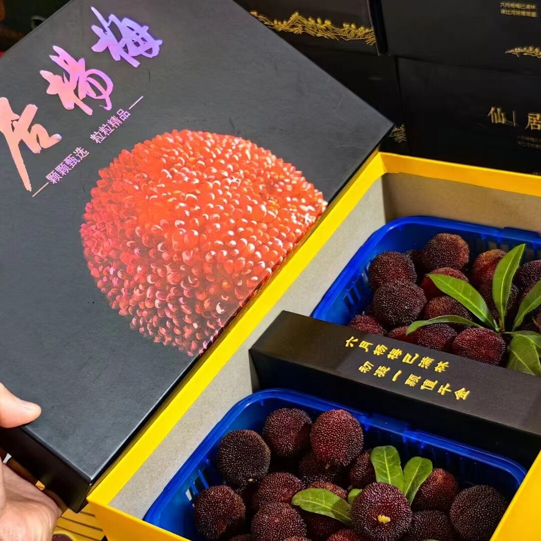 正宗仙居东魁杨梅4斤超大杨梅礼盒装