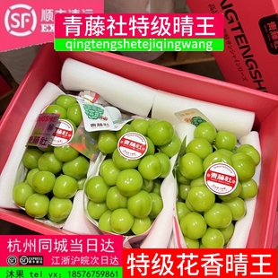 纯正-品种青藤社晴王葡萄3串特级礼盒装新鲜水果无籽阳光玫瑰顺丰