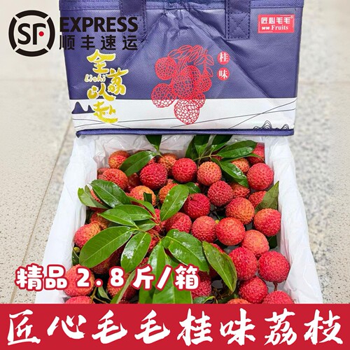 广东桂味荔枝当季新鲜水果老树精品大果2.8斤现摘现发礼盒团购