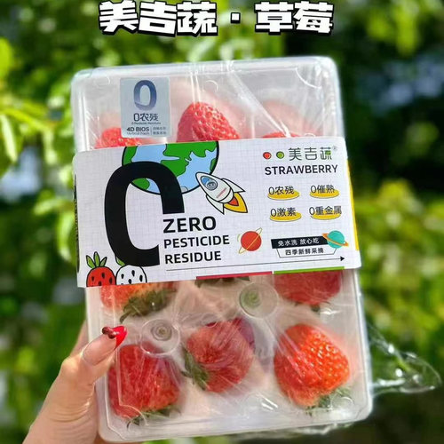 美吉蔬草莓 单盒350克 红颜草莓 淡雪草莓 双拼