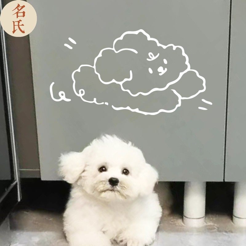 云朵狗狗可爱呆萌贴纸墙面氛围装饰贴纸店铺装修玻璃门窗贴宠物店