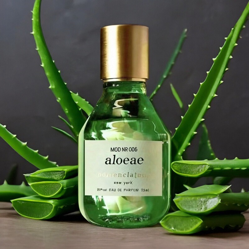 BBcp推荐命名法no006芦荟香水