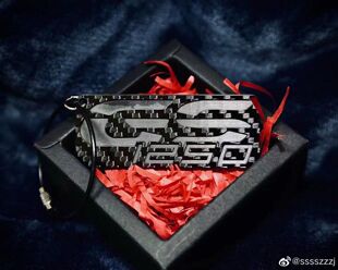 适用于宝马BMW310GS F900R F900XR  850GS 1250GS碳纤维 钥匙链