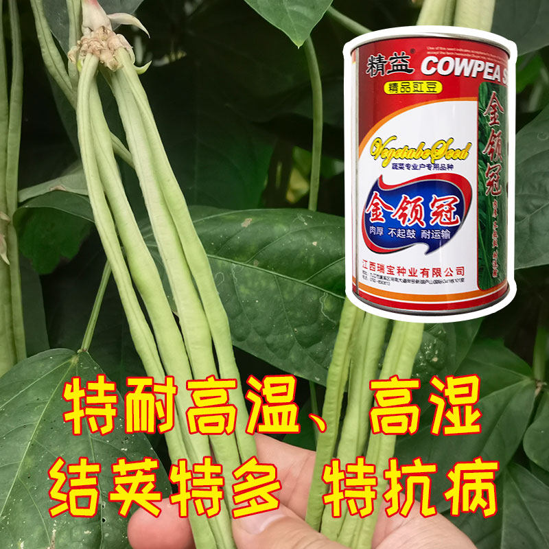 爱农优选 金领冠豇豆种子 高产肉厚长豆角 特别抗病耐热耐湿 推荐,农用物资,蔬菜种子/种苗,淘宝优惠券,粉丝福利购,淘宝优惠卷