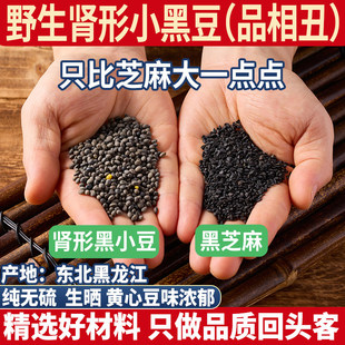 古老品种野生肾型黄心小黑豆500g药用黑豆马科黑豆野料豆黑马料豆