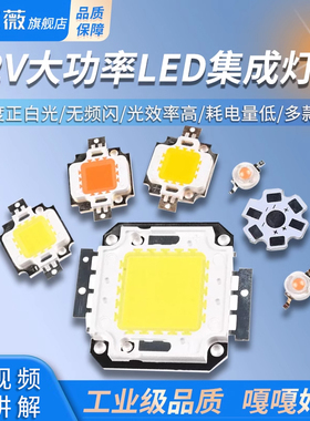 12V大功率LED集成粉色植物灯珠1w10W20W30W50W高亮度正白光