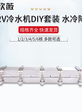 12V半导体制冷片DIY水冷降温20~150L鱼缸冷水机系统套件CPU制冷器