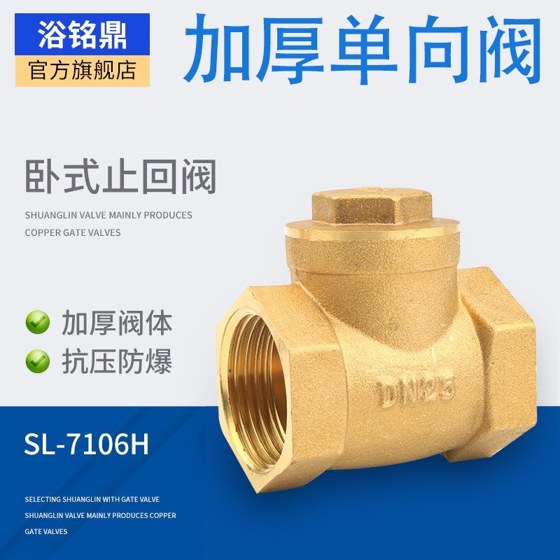 工程家用卧式止回阀全铜加厚水泵