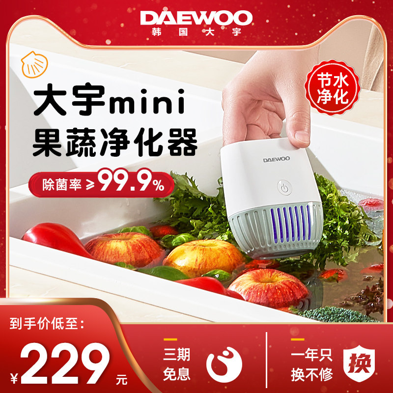 DAEWO/大宇mini无线果蔬清洗机除农残细菌洗菜机食材全自动净化器属于什么档次？