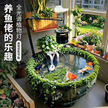 瓦缸爆藻灯古法养鱼灯圆形缸灯专用支架全光谱水草筒灯增色吉罗灯